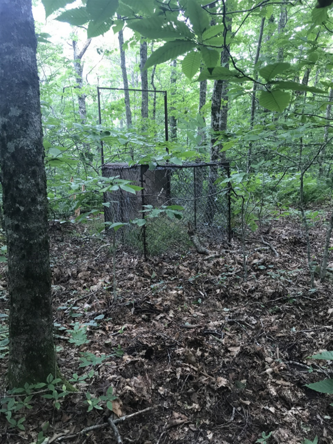 As we were hiking along we came across this wild boar trap. It seems they are quite prevalent in the Smokies...and I guess the Tar Heels are trying to keep the Razorback population out of NC:).