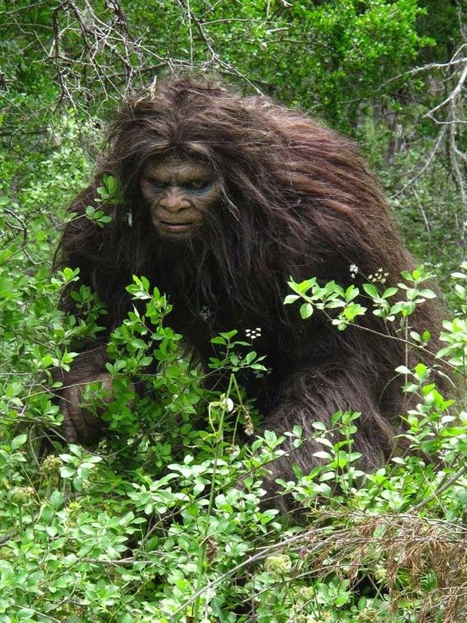 Sasquatch!!...no wait.....that's just another thru hiker that's been on the AT for a  LONG time.