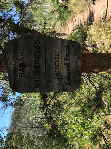 Rawah Wilderness was where we hiked and a wilderness it was!