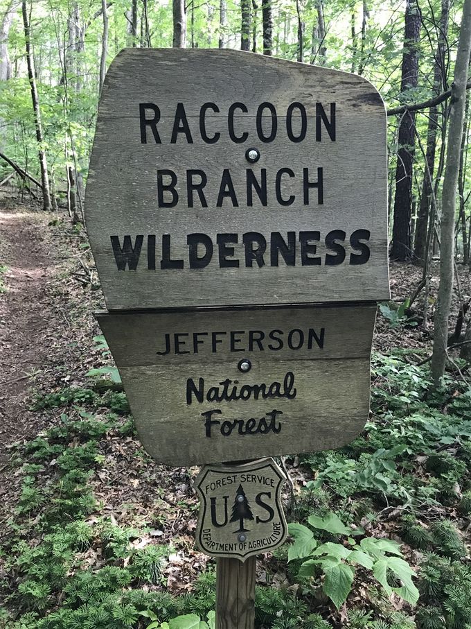 First Wilderness in the Jefferson National Forest. Hope to see some raccoons!
