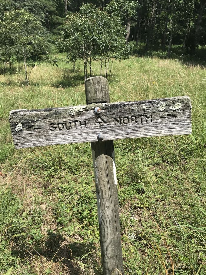 Mile marker 657, Pine Swamp Shelter, to mile marker 724, Lambert Meadows: 67 miles in 5 days. The 3 R's on what to watch out for on our hike?  ROOTS, ROCKS and RATTLESNAKES!
