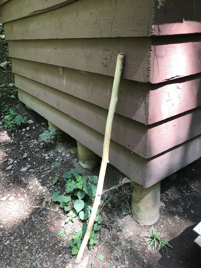 Alas.....MacGyver retired his Gandolf walking stick at Harper's Creek Shelter, mile 837. His twisted  knee had recovered (yeah!) and he was ready to break away from his 